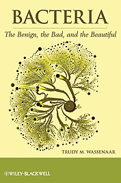 Bacteria: The Benign, the Bad, and the Beautiful