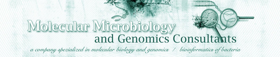 Molecular Microbiology and Genomics Consultants - a company specialized in molecular biology and genomics bioinformatics of bacteria